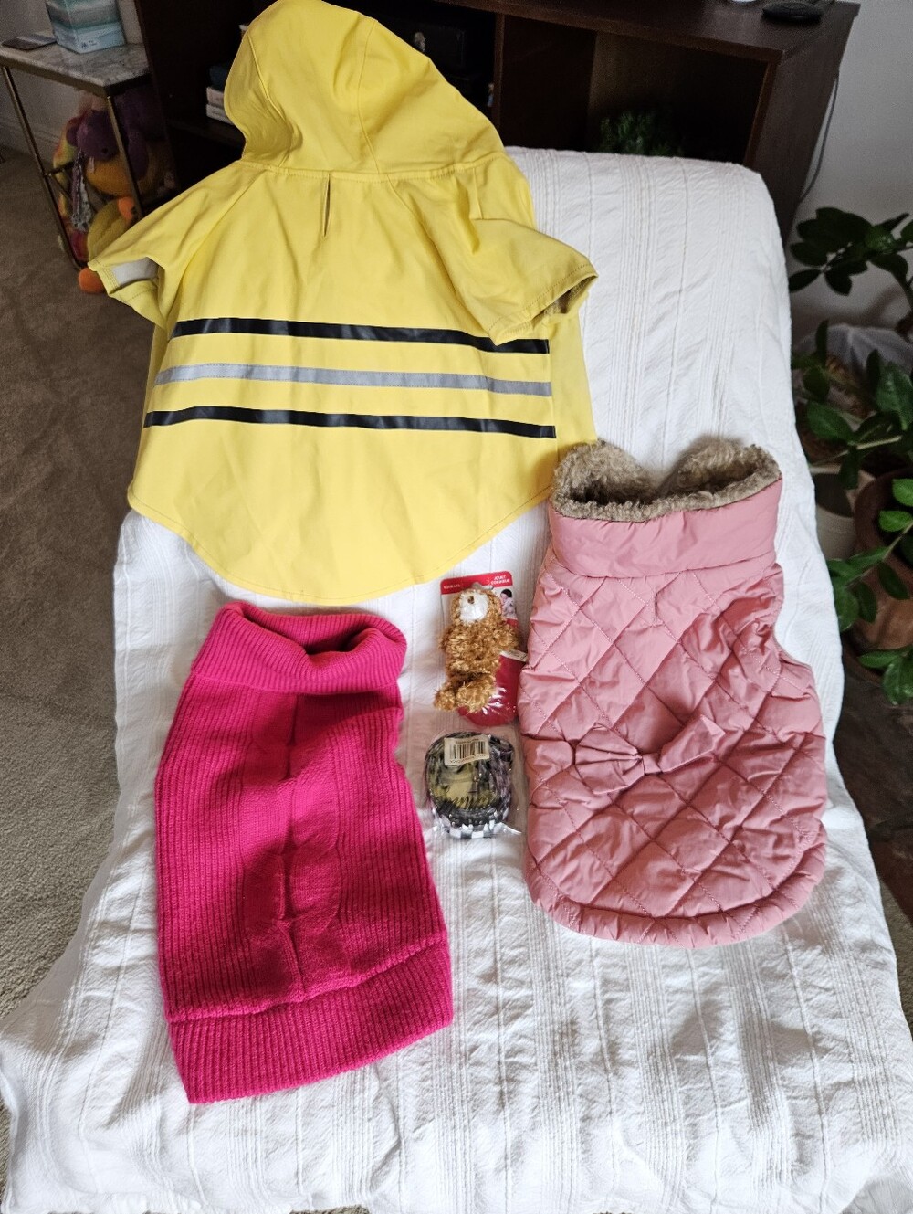 Pet Bundle Sweaters Jacket, Leash, Kong Toy